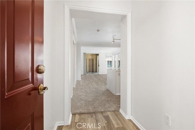 Building Photo - 2426 Watermarke Pl