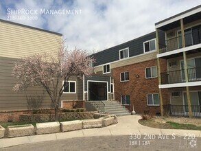 Building Photo - 330 2nd Ave S