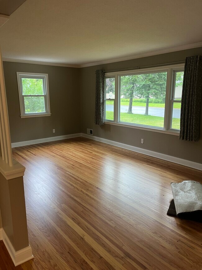 Sala de estar remodelada - 8624 Oakland Ave S