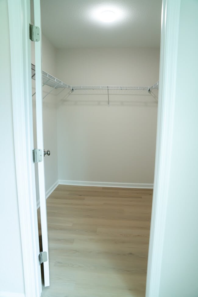 Walk in Closet - 805 Martin St