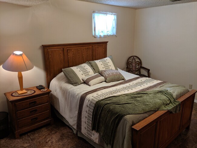 Lower Level Bedroom - 1943 North Academy Boulevard