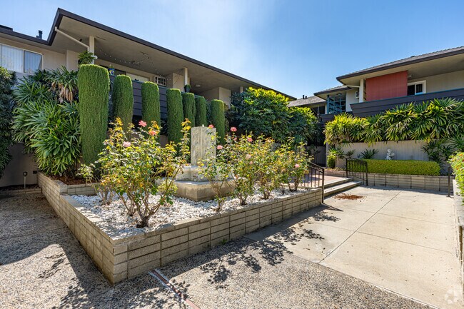 Patio - Molino House