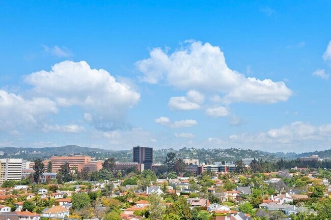 Foto del edificio - Spacious 1BD/2BA Condo with Stunning Views...