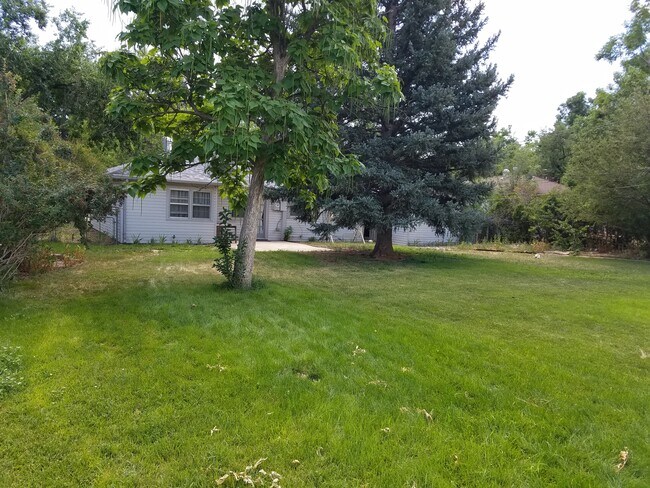 Large back yard - 6479 S Windermere St