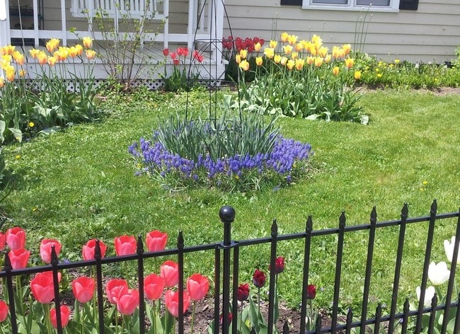 Building Photo - 802 Division St