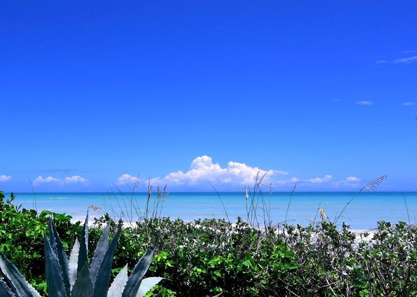 Oceanfront Walk-Out Condo - Oceanfront Walk-Out Condo