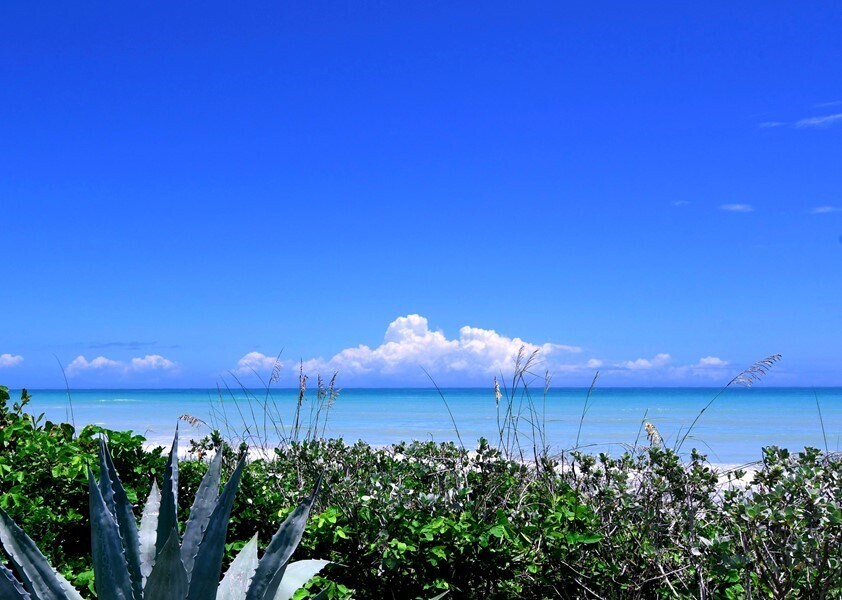 Foto principal - Oceanfront Walk-Out Condo