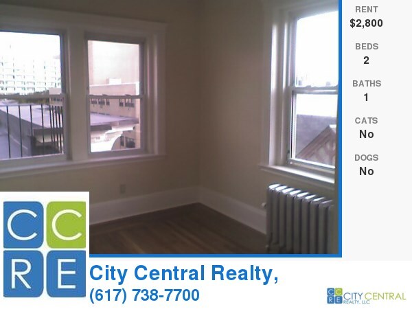 Primary Photo - 387 Hemenway St