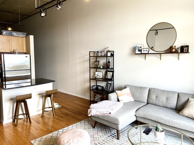Living Room - 900 N Kingsbury St