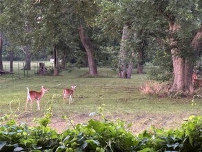 Building Photo - 2011 Miller Rd