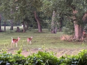 Building Photo - 2011 Miller Rd