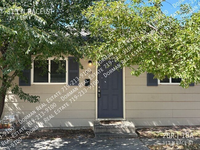 Foto del edificio - 313 N Race St