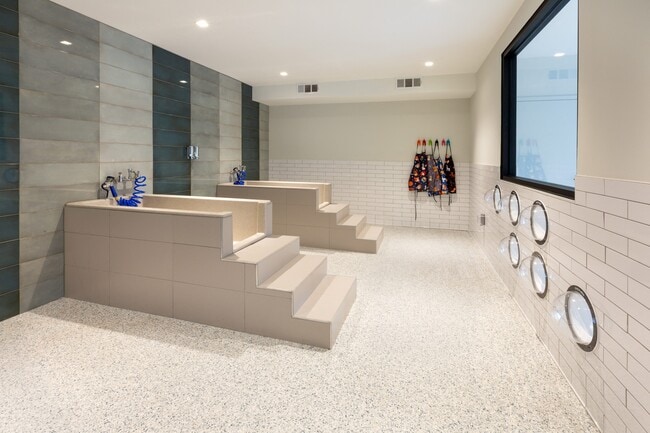 Large Pet Spa - Bexley Chamblee