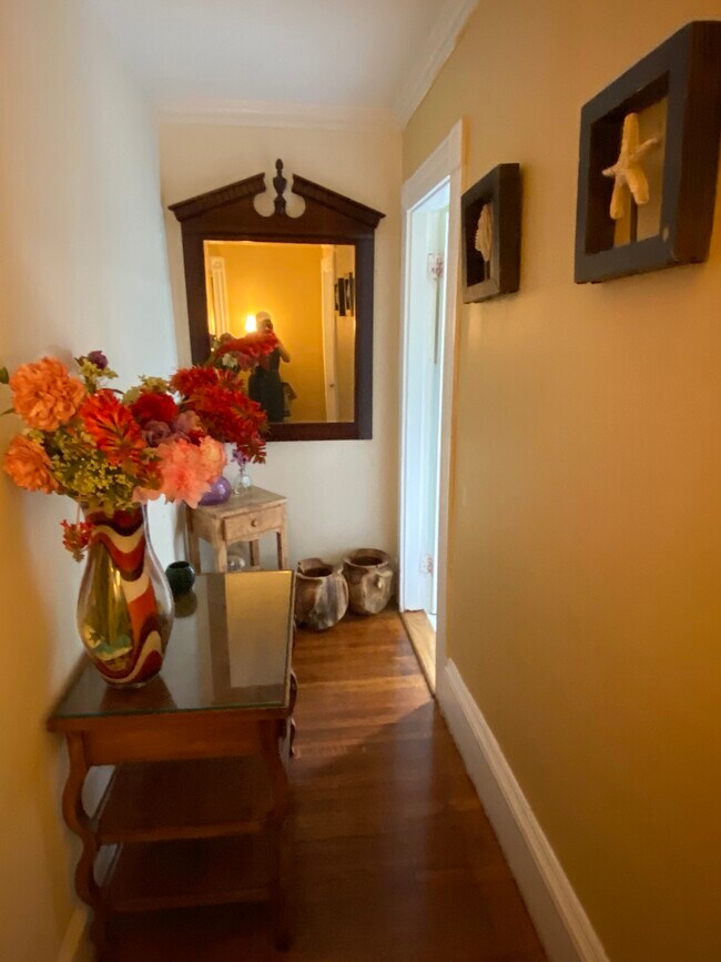 2nd floor hallway - 21 Royall St