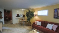This single-floor space showcases an open-concept layout that seamlessly integrates the living, dining, and kitchen areas into one cohesive environment. The living area is anchored by a rich burgundy sofa accented with decorative cushions, paired with a glass-top coffee table that adds a light, airy feel to the space. A tall, lush indoor tree serves as a natural focal point, bringing life and warmth to the interior.

The dining area features a compact wooden table with matching chairs, conveniently positioned adjacent to the kitchen. The kitchen is accessible via a pass-through counter with overhead cabinetry finished in white, offering both functionality and an open sightline throughout the space. A window above the kitchen area allows natural light to filter in.

The living area benefits from an additional window dressed with white blinds, providing soft, diffused natural light. Neutral carpeted flooring runs throughout, contributing to a comfortable and cohesive aesthetic. Warm yellow walls and a textured ceiling complete the inviting, casual ambiance of this practical and well-organized space.