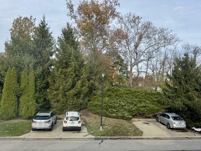 Foto del edificio - 2065 Timberwyck Ln