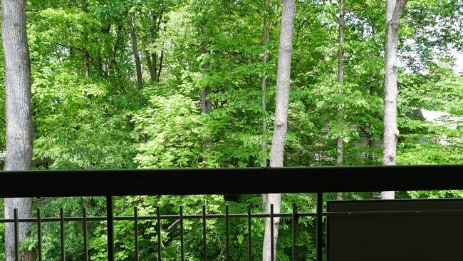 Foto del edificio - 7728 Donnybrook Ct