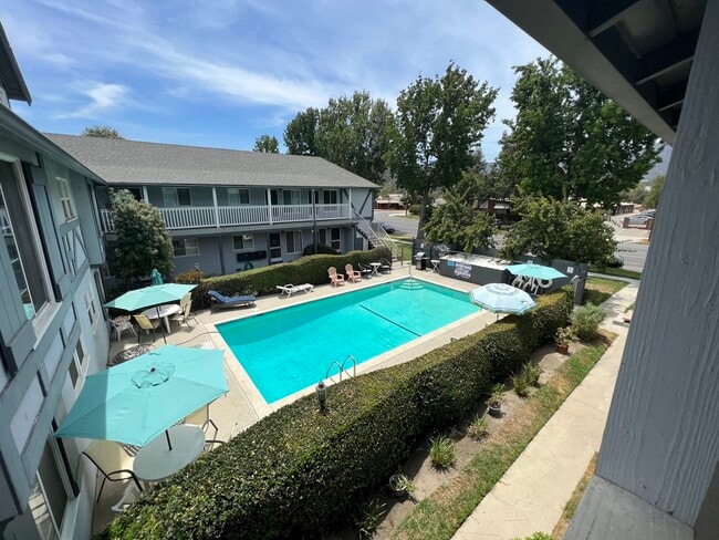 Pool & Deck - 1841 Riverside Dr