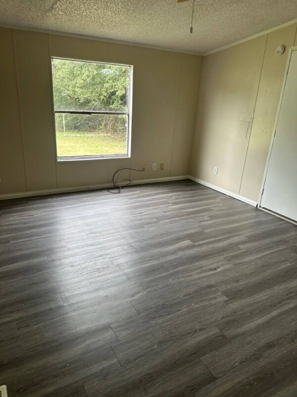Foto del edificio - 312 Forest Creek Ln