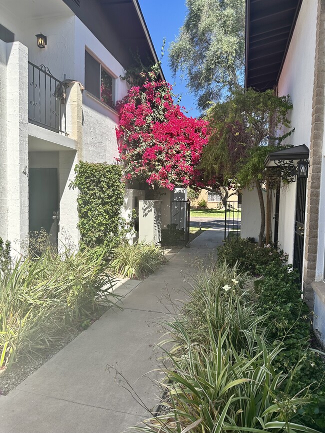 Building Photo - 3637 E Monterosa St