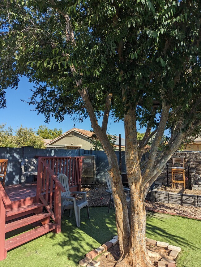 Deck - 12037 W Scotts Dr