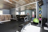 This fitness center combines rustic character with functional design, creating an inviting environment for exercise and wellness. The most striking architectural feature is the reclaimed wood ceiling, showcasing richly textured, weathered planks in a range of earthy tones that contrast beautifully with the cool blue-grey walls throughout the space. Underfoot, durable dark rubber flooring provides cushioning and traction across the entire workout area.

Natural light fills the room through multiple large windows and a glass-paneled door, offering views of a surrounding outdoor deck and tree-lined landscape beyond. A ceiling fan adds to the comfort of the space during intense workouts. Floor-to-ceiling mirrors along one wall visually expand the room and allow exercisers to monitor their form.

The fitness center is thoughtfully stocked with a range of equipment, including a multi-functional cable machine, a full dumbbell rack with weights of varying sizes, a workout bench, a treadmill, and a stability ball. Track lighting installed along the ceiling ensures the space remains well-lit at all times. An exterior door provides direct access to an outdoor deck, seamlessly connecting the indoor fitness experience with the fresh air outside. The overall ambiance is energetic yet grounded, blending natural materials with modern functionality.