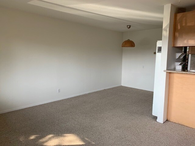 Living Romo - 2113 Rose St