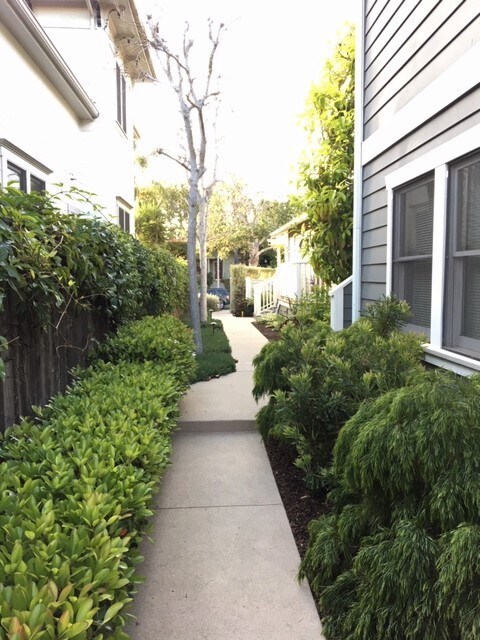 Property walkway - 331 W Cota St