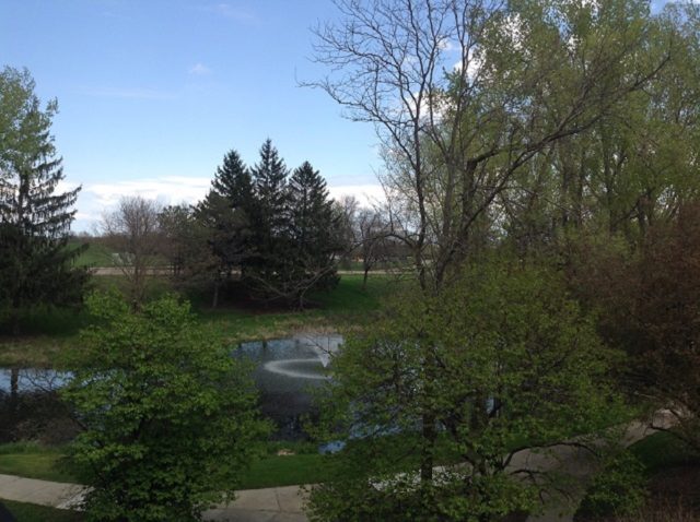 Building Photo - 1566 Millpond Ct