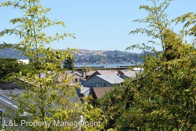 Building Photo - 146 Buchanan Ct