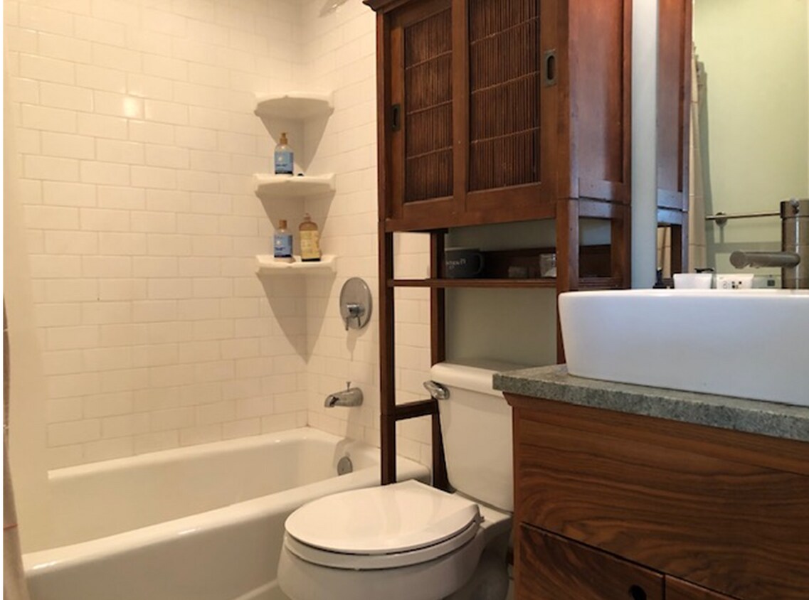 1953 Dolores Way Unit SkyLoft, Carbondale, CO 81623 Apartments in