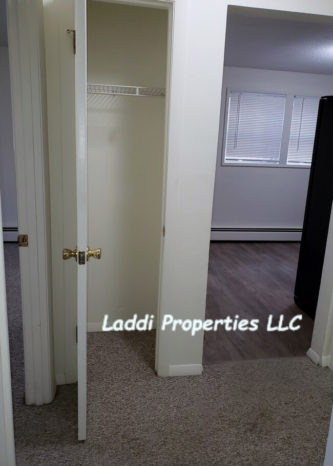 Plentiful Storage closets - 86 Beacon St, Unit 4