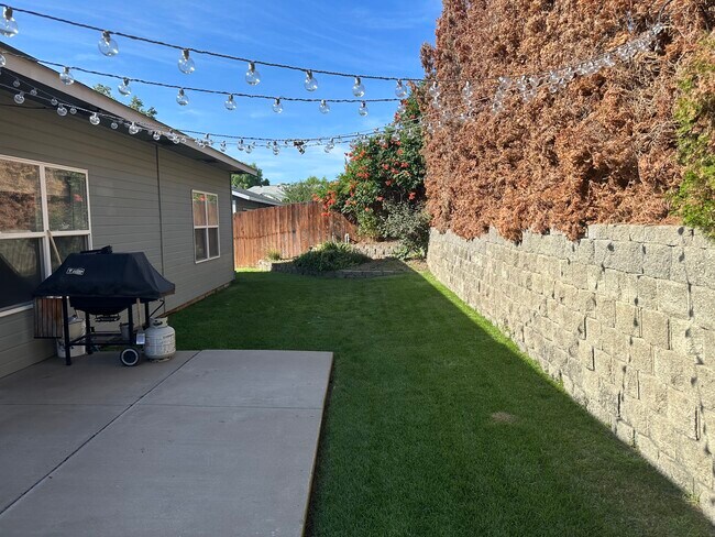Back Yard - 401 S 82nd Ave