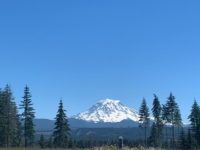 Foto del edificio - Stunning and New Bonney Lake Home