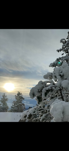 Building Photo - 18575 SW Century Dr