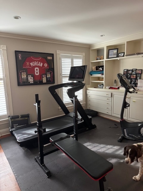 Foto del edificio - 9675 Rollin Dr