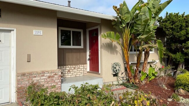 Building Photo - 1591 Heron Ave