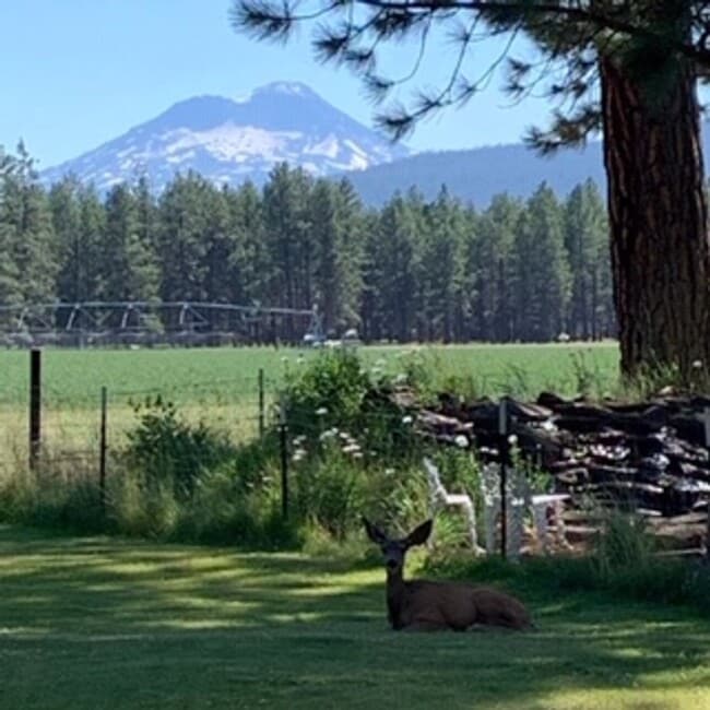 Building Photo - Live in Beautiful Sisters Oregon for the W...