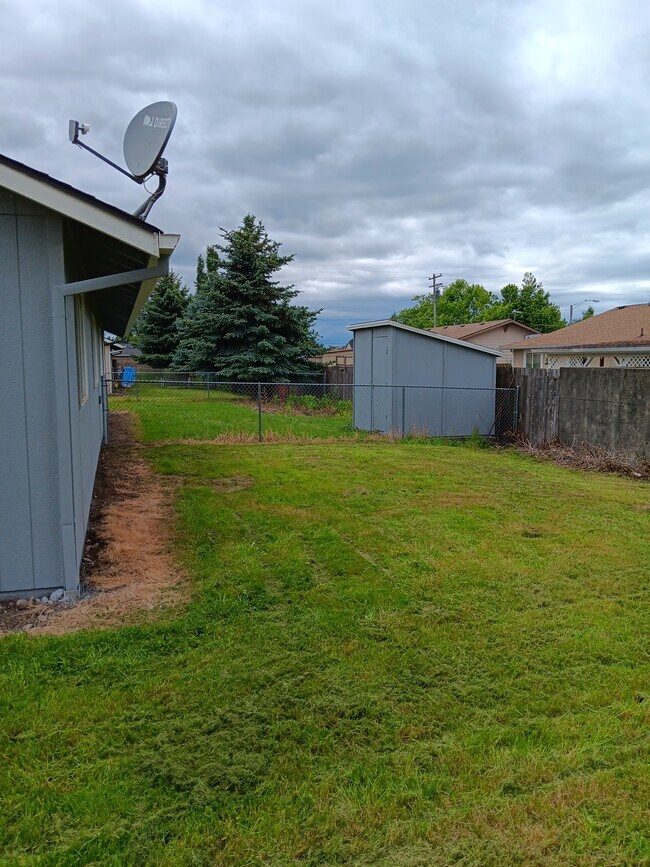 Backyard - 393 Shamrock St