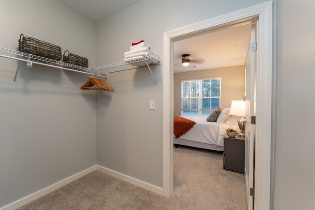 Interior Photo - Halstead Plymouth