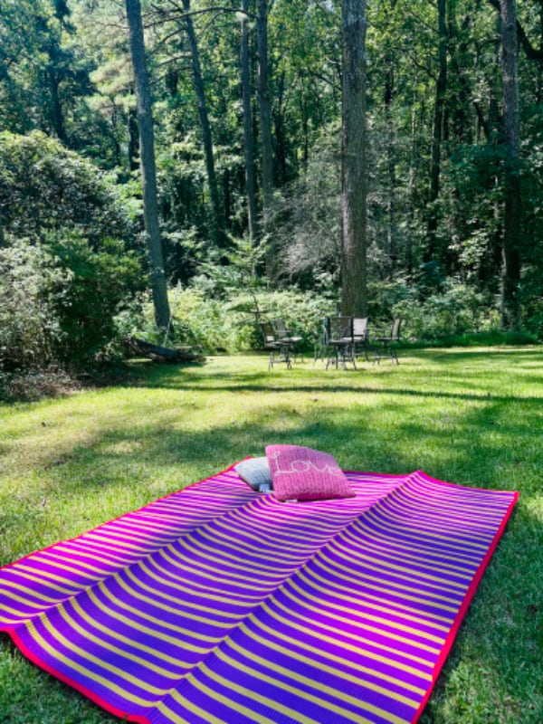 Backyeard - 2562 Meadow Lark Dr