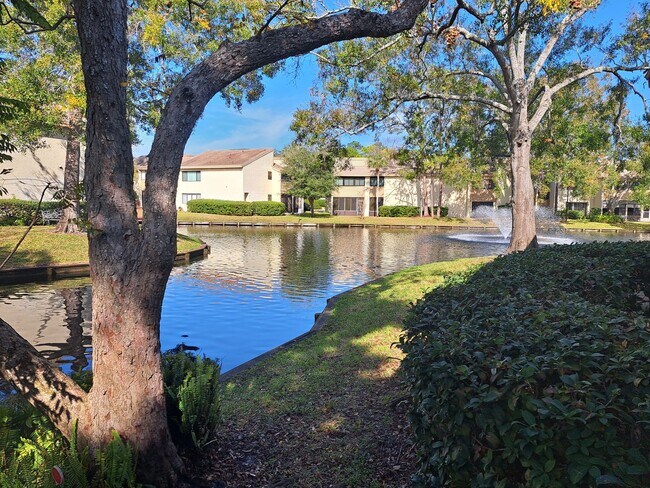 Building Photo - 2/2 condo in the heart of Carrollwood