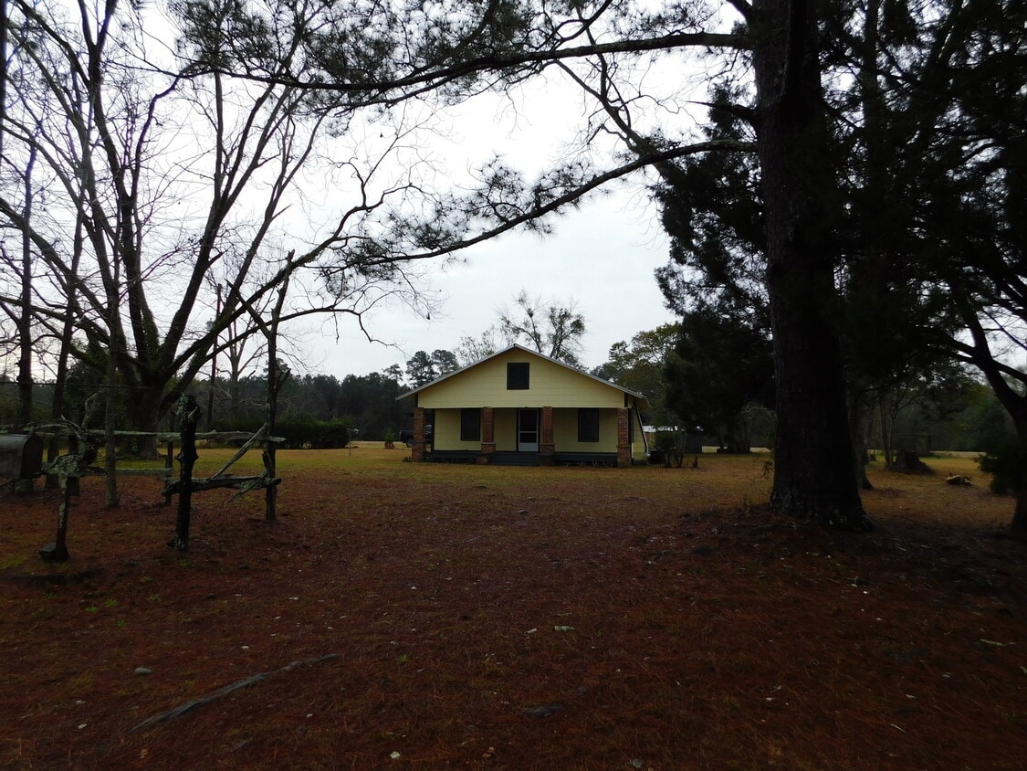 Primary Photo - At home in the country