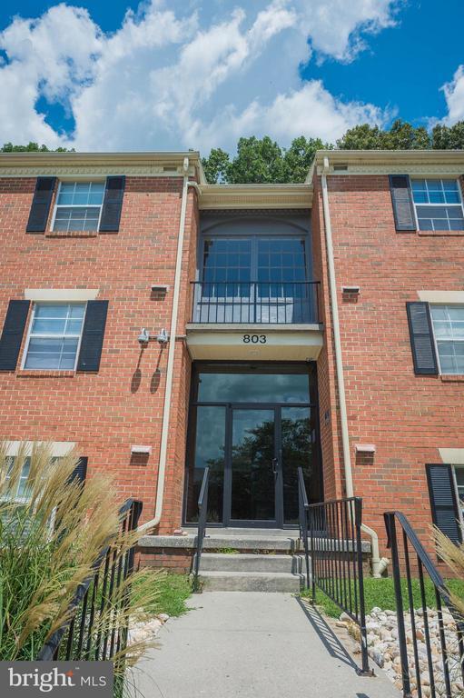 Foto del edificio - 803 College Ln