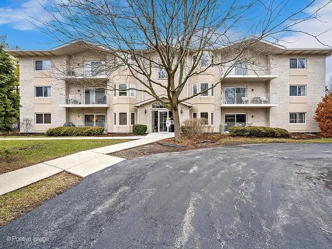 Building Photo - 943 Elderberry Cir