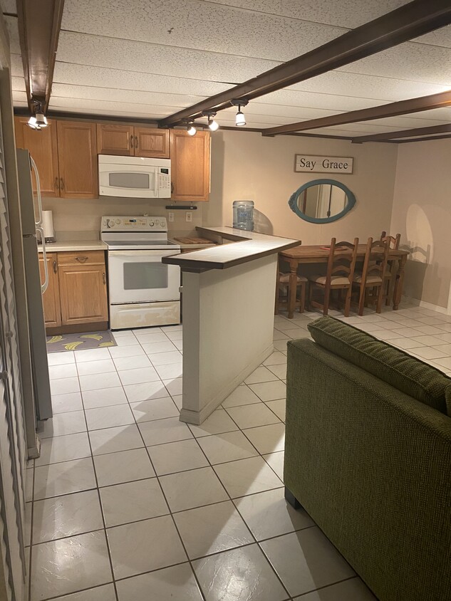 1426 Castleworks Ln Unit Apartment back of house, Tarpon Springs, FL