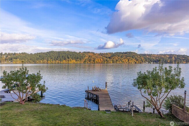 Foto del edificio - 4Bd/1.75Ba Seattle House