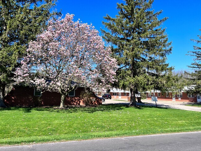 Building Photo - 211 S Pfeffer Rd