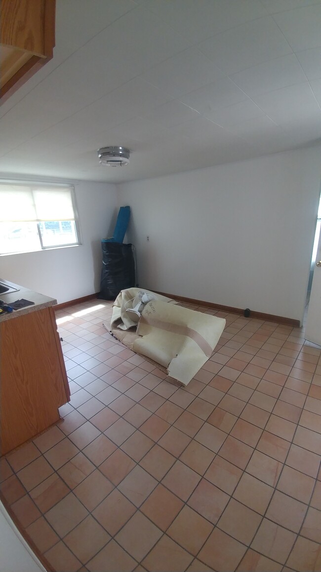 kitchen from living room - 226 Spring St