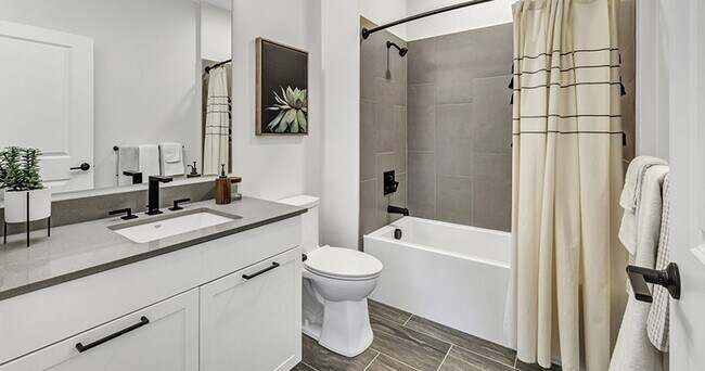 Interior Photo - Olive & Wooster